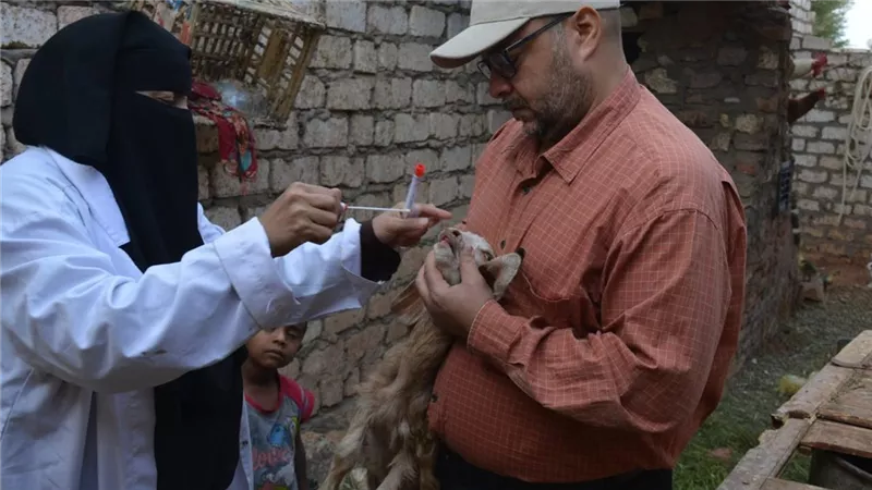 «بحوث الصحراء» يختتم قوافل توشكى البيطرية لدعم الثروة الحيوانية في أسوان