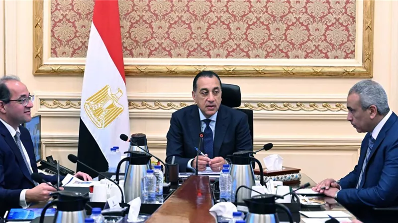 الحكومة تبدأ إجراءات التحول نحو السيارات الكهربائية| تفاصيل 