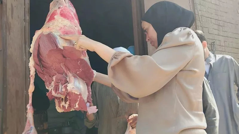 ضبط 412 كيلو لحوم ومنتجات غذائية وتحرير 40 مخالفة بالمنيا