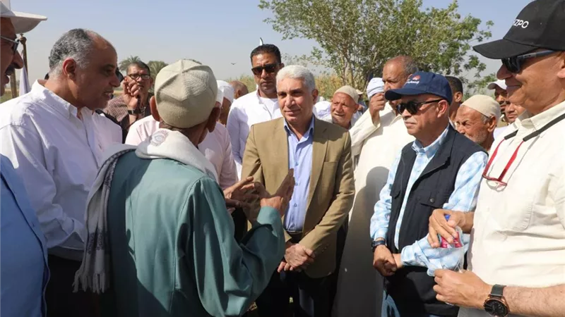 المنيا تعزز ريادتها فى الأمن الغذائى.. زراعة 44 ألف فدان بطاطس 