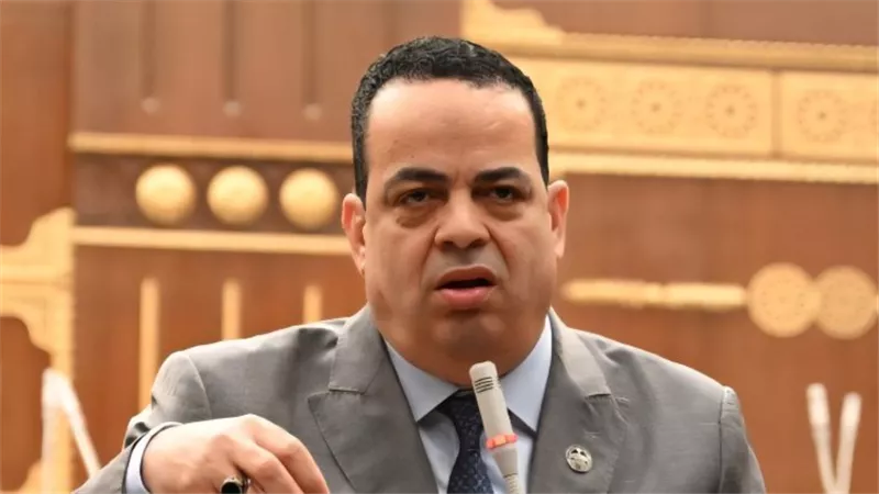 هلال: لماذا لا يتم خفض مصاريف المدارس اليابانية ليستفيد منها كل المصريين؟