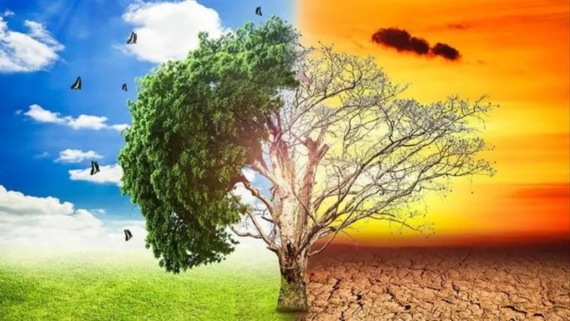 مركز المناخ: تغيرات مناخية غير معتادة تضرب البلاد والمحاصيل في خطر 