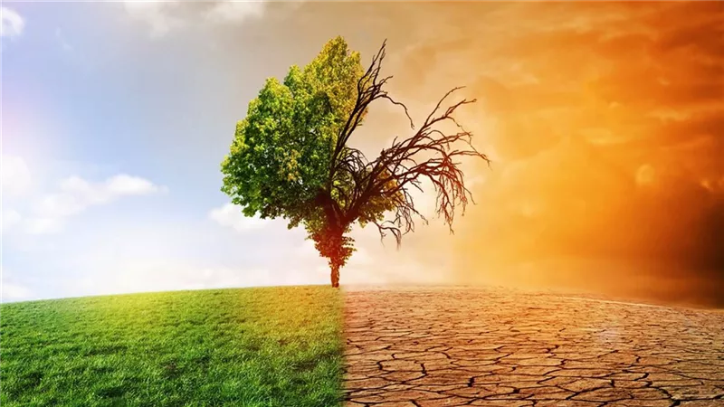 التغيرات المناخية تهدد المحاصيل الزراعية