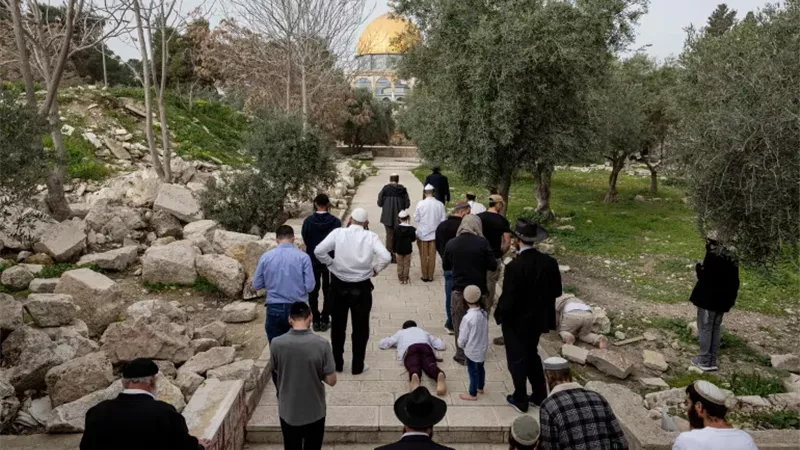 مئات المستوطنين يقتحمون الأقصى والاحتلال يقيّد دخول الفلسطينيين