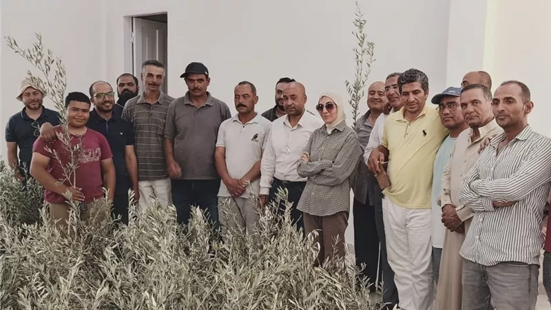 محافظ جنوب سيناء يوجه بتعويض مزارعي 