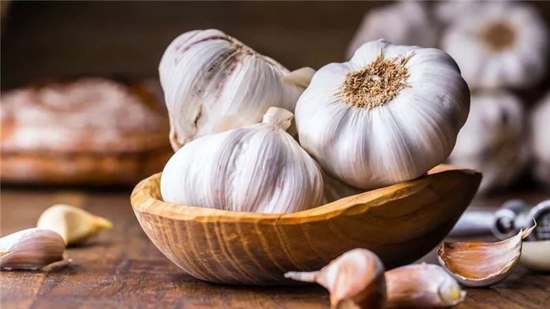 ماذا يحدث عند وضع الثوم بداخل الأنف؟