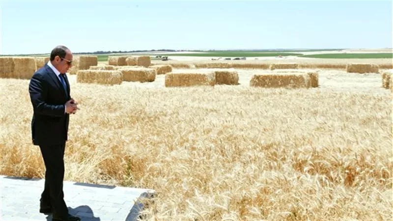 الرئيس السيسي يشهد افتتاح مشروع الدلتا الجديدة التنموي المتكامل في الضبعة 