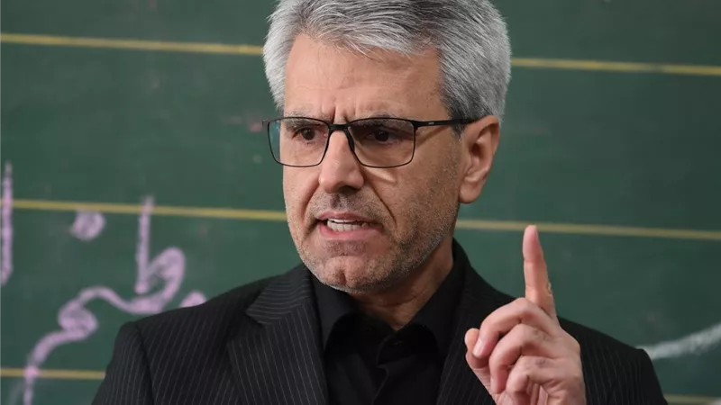إسماعيل بقائي: خسارة ألمانيا لمقعدها في مجلس الأمن عقاب دعمها لإسرائيل