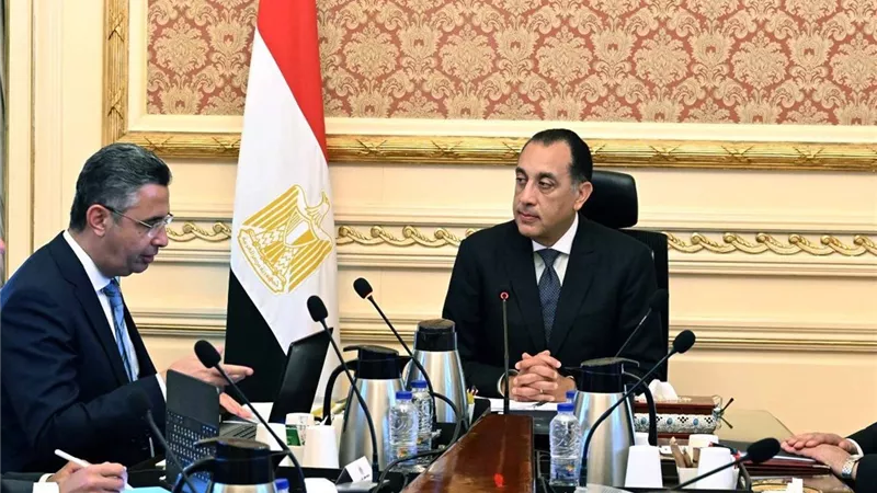 «التموين»: 2300 رأس ماشية وتكثيف الرقابة استعدادًا لعيد الأضحى
