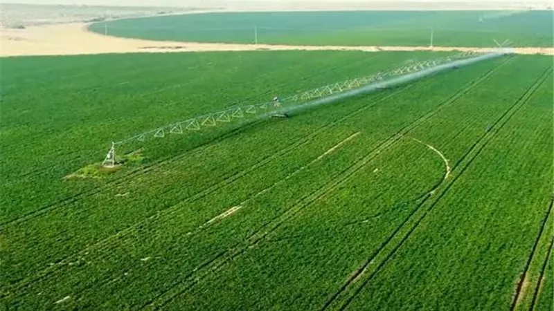 مشروع الدلتا الجديدة.. رؤية تنموية غير مسبوقة