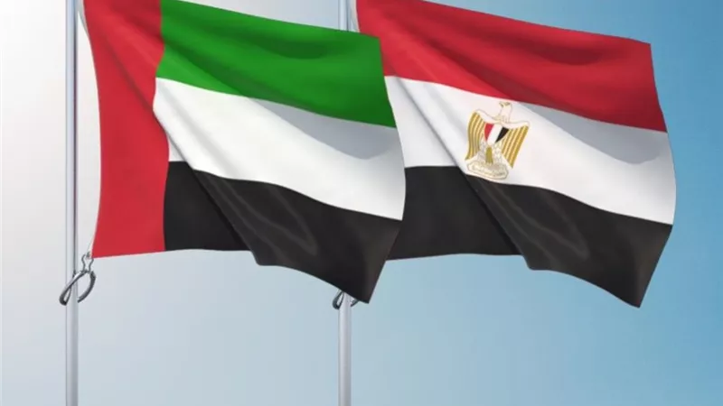 مصر تدين استهداف محيط محطة براكة للطاقة النووية بالإمارات 