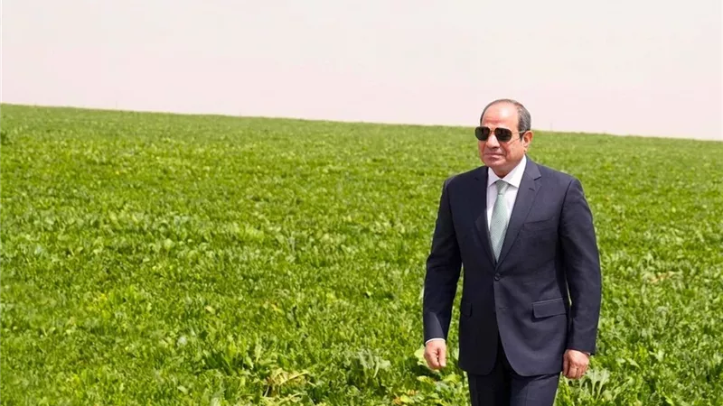 800 مليار جنيه و2.2 مليون فدان.. تفاصيل مشروع «الدلتا الجديدة»