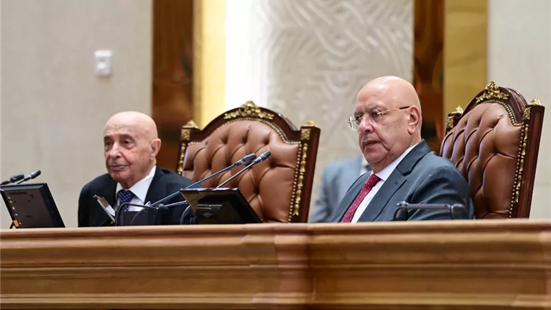 بالصور.. برلمانيون: مصر وليبيا «قلب واحد في جسدين»