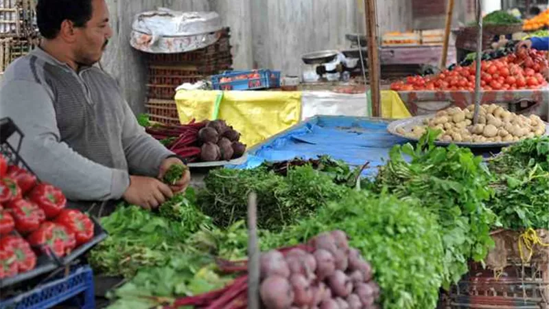 الطماطم تتراجع.. والبامية تقفز 7 جنيهات في الأسواق اليوم