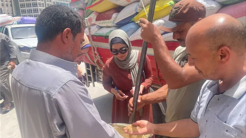 متابعة ميدانية مكثفة لشون وصوامع البحيرة لضمان انتظام توريد القمح