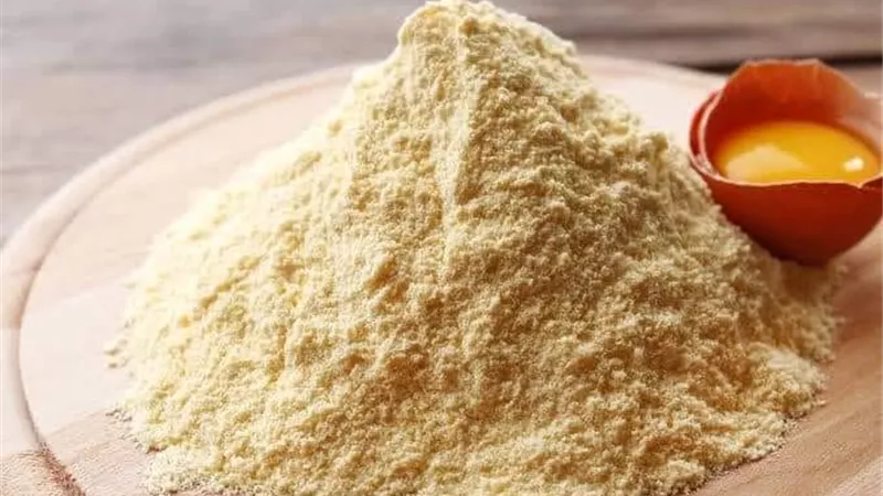 البيض المجفف.. منتج غذائي مبتكر يفتح آفاقا جديدة في الصناعات الغذائية
