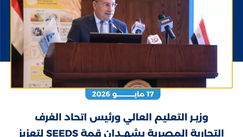 التعليم العالى:  تعاون دولي وتطوير منظومة الجامعات وتعزيز الشراكات البحثية