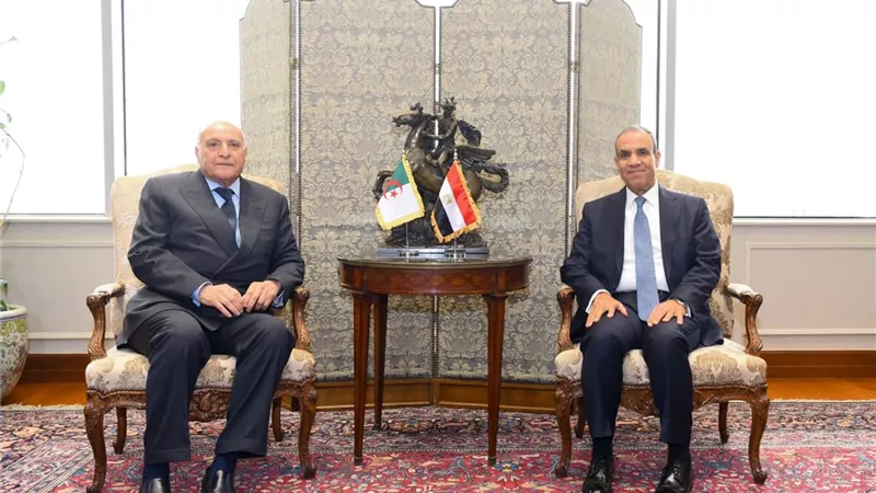 مصر والجزائر تبحثان تعزيز العلاقات الثنائية