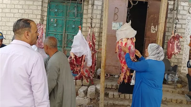 بيطري المنيا: ضبط أكثر من 555 كجم لحوم غير صالحة للاستهلاك