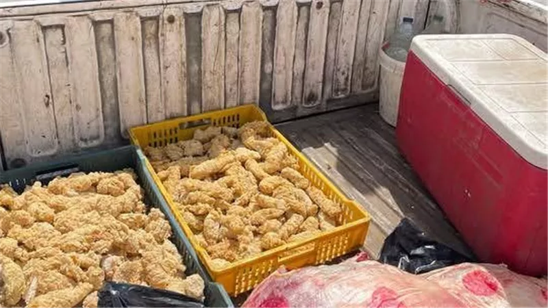 ضبط 431 كجم من اللحوم والدواجن والأسماك غير الصالحة في دمياط