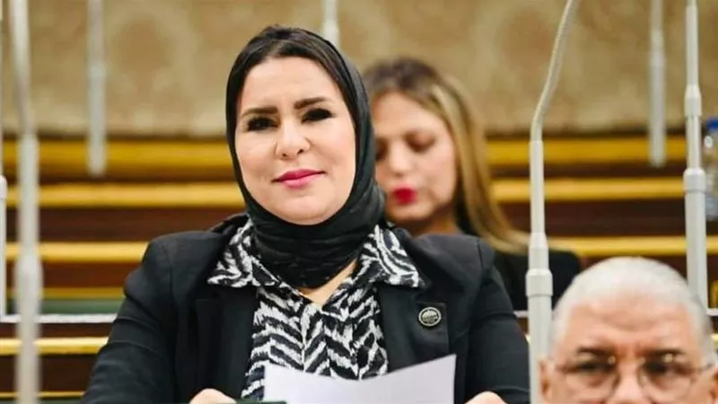 نيفين الكاتب: افتتاح «سفارة أرض الصومال» في القدس خرق للقانون الدولي