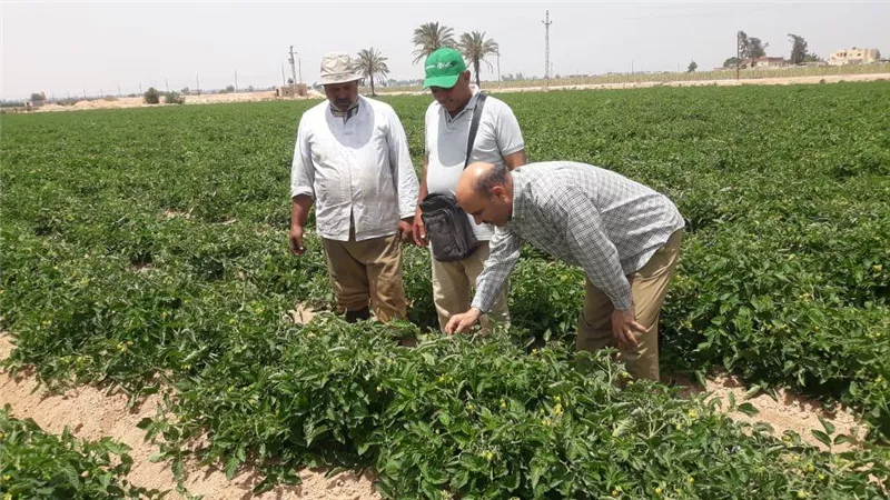 «الزراعة» تستعرض جهود معاهد ومعامل مركز البحوث الزراعية خلال الأسبوع 