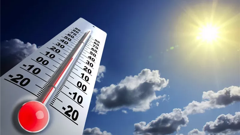 الأرصاد تحذر: شبورة كثيفة وأمطار رعدية اليوم بهذه المناطق