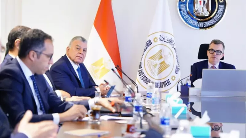وزير التخطيط يبحث مع 