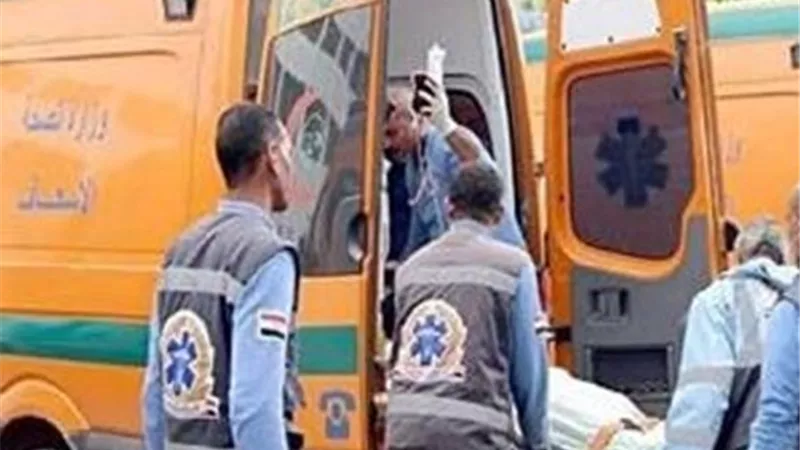 إصابة 17 شخصًا في انقلاب ميكروباص بالطريق الصحراوي بالمنيا