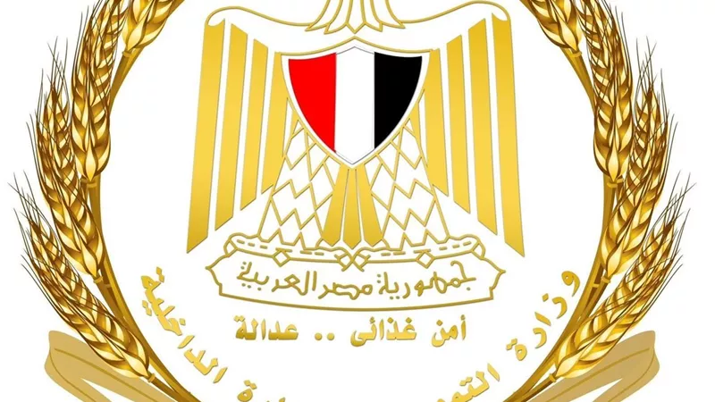 التموين تتحرك بعد فيديوهات “الدواجن الرخيصة” وتؤكد: السلع مطابقة للمواصفات
