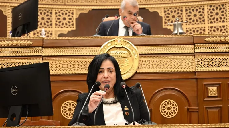 «حماة الوطن»: مصر تقود مسار التنمية والعمل المشترك في القارة الإفريقية