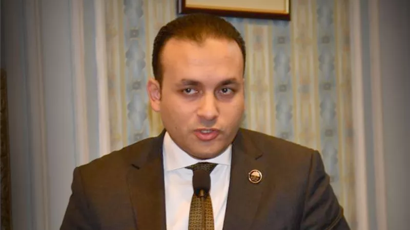 عمرو فهمي: مصر تقود تحركات مكثفة لتهيئة المناخ السياسي للحلول الدبلوماسية