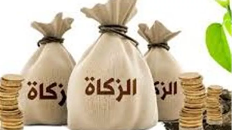هل يجوز إخراج زكاة المال المتأخرة على أقساط؟.. أمين الفتوى يجيب