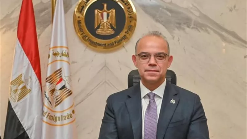 وزير الاستثمار: توطين الصناعات الاستراتيجية لـ 100 مليار دولار صادرات