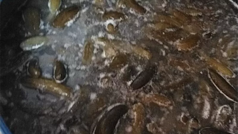 ضبط 34 طن مخللات غير صالحة للاستهلاك الآدمي بالمنيا