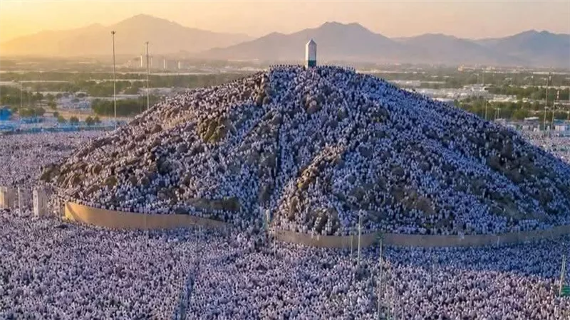 يوم عرفات وجبل الرحمة.. أسرار التسمية وقصة المكان الأشهر بالحج