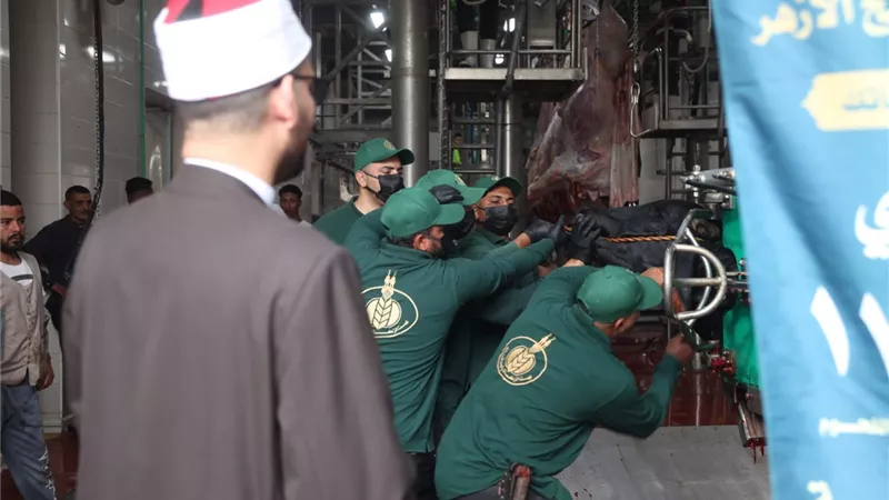 «بيت الزكاة والصدقات» يبدأ ذبح الأضاحي وتوزيع لحوم الصكوك | صور 