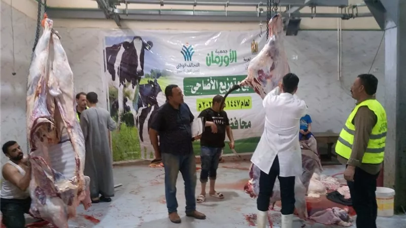 محافظ أسيوط: 327 ذبيحة بالمجازر الحكومية في ثاني أيام عيد الأضحي