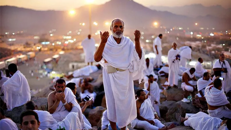 كيف أعادت 