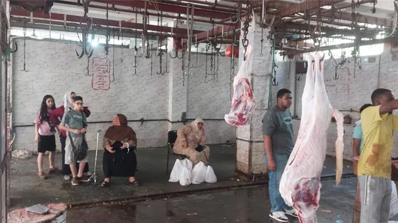 تحت إشراف بيطري.. ذبح أكثر من 35 ألف أضحية بالمجازر الحكومية خلال العيد 