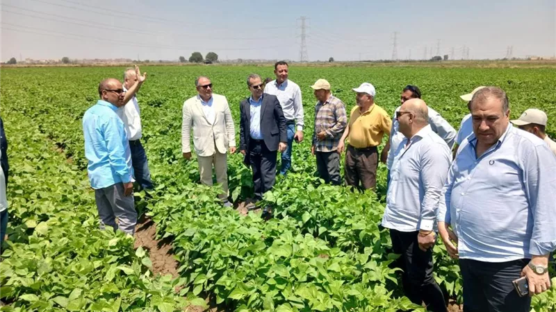بتكليفات وزير الزراعة.. متابعة محطات الإنتاج الحيواني والتقاوي بكفر الشيخ