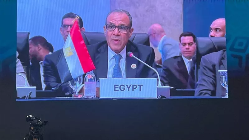 عبد العاطي يستعرض رؤية مصر للتنمية في الاجتماع الوزاري الكوري الأفريقي