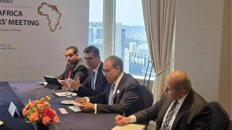 كوريا الجنوبية تشيد بصلابة الاقتصاد المصري في مواجهة التحديات الإقليمية