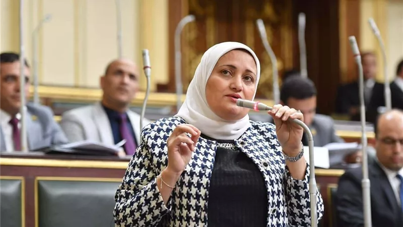 طلب إحاطة للحكومة بشأن تدهور الخدمات وغياب التنمية بجزيرة الشخلوبة