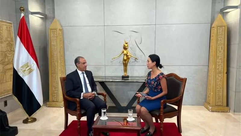 وزير الخارجية من سول: أدعو الشركات الكورية للاستثمار في مصر