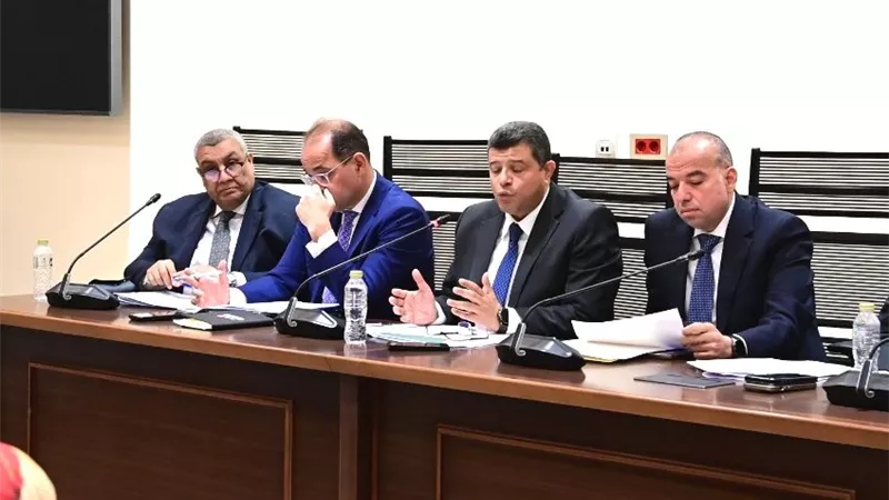 تخصيص 5% من صافي أرباح الشركات المملوكة للدولة لدعم الموارد العامة