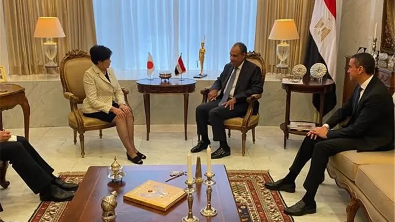 وزير الخارجية يلتقي محافظ طوكيو لتعزيز التعاون المصري الياباني 