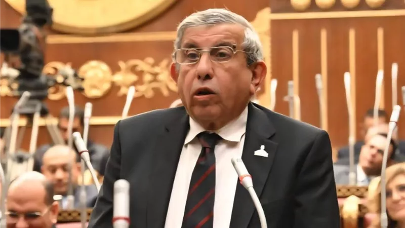 علاء عبدالنبي: دعم الأسمدة مستمر ولا تغيير في المنظومة الحالية |خاص