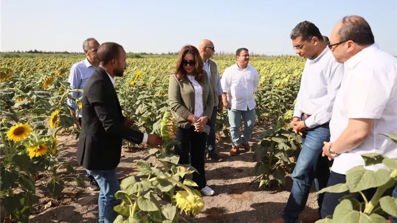 وزيرة التنمية المحلية والبيئة تتفقد مشروع الجوجوبا بالغردقة