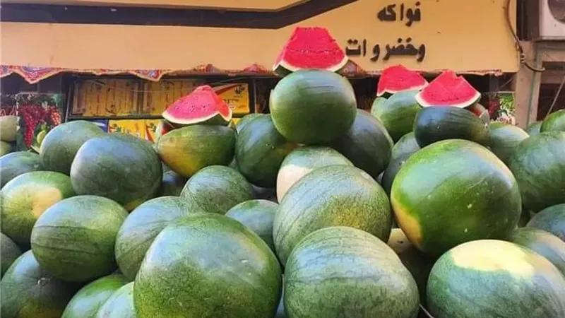 «خلي الفقير ياكل»... 3 أنواع فاكهة ستنخفض أسعارها خلال الفترة المقبلة|خاص